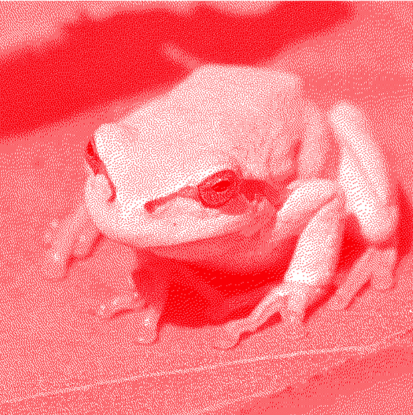 A dithered image of a frog
